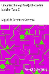 L'ingénieux hidalgo Don Quichotte de la Manche - Tome II