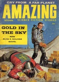 Cover of Gold in the Sky