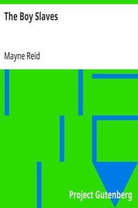 Cover of The Boy Slaves