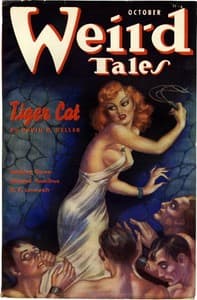 Cover of The Homicidal Diary