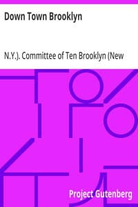 Down Town Brooklyn: A Report to the Comptroller of the City of New York on Sites for Public Buildings and the Relocation of the Elevated Railroad Tracks now in Lower Fulton Street, Borough of Brooklyn