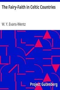 Cover of The Fairy-Faith in Celtic Countries