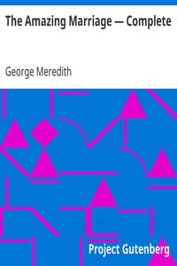 Cover of The Amazing Marriage — Complete