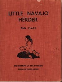 The Little Navajo Herder