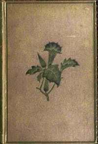 Torwood's trust : $b A novel (Vol. 2 of 3)