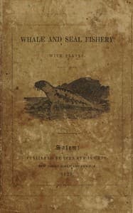 Catching of the whale and seal : $b or, Henry Acton's conversation to his son William on the whale and seal fishery