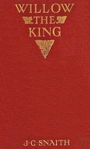 Willow the king : $b The story of a cricket match
