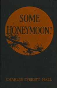 Cover of Some honeymoon!