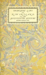 Cover of Domestic life in New England in the seventeenth century