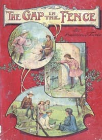 Cover of The Gap in the Fence