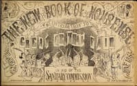 Cover of The New Book of Nonsense: Contribution to the Great Central Fair in Aid of the Sanitary Commission