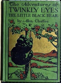 Cover of The adventures of Twinkly Eyes the little Black Bear